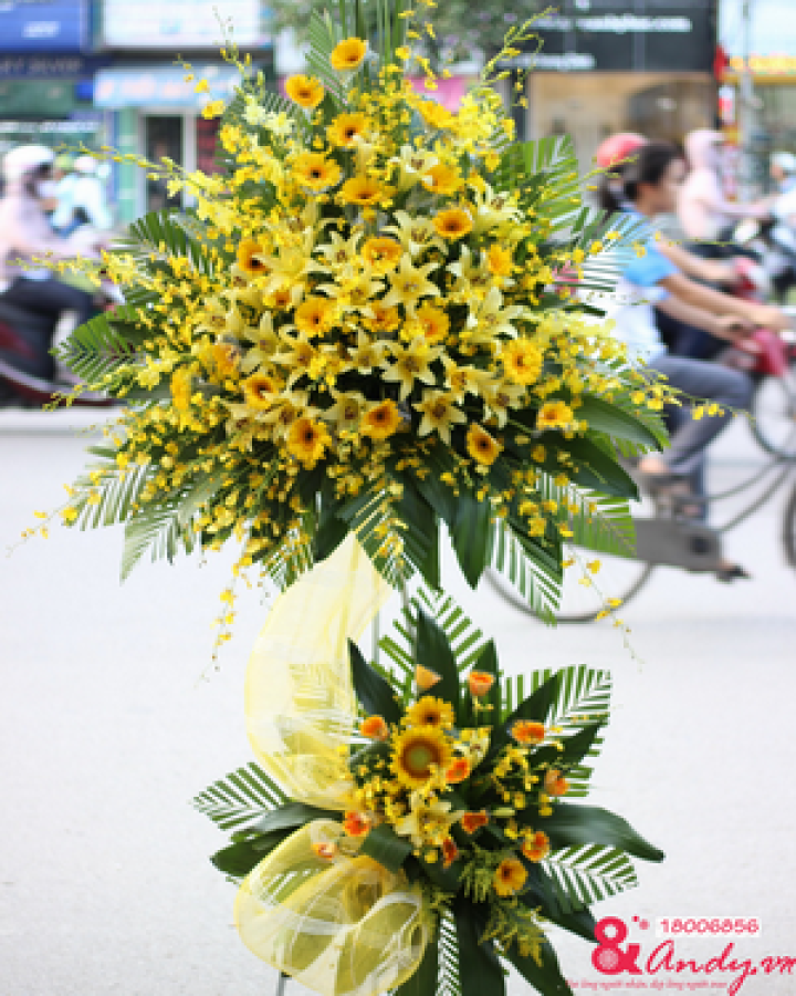 Hoa KT đẹp