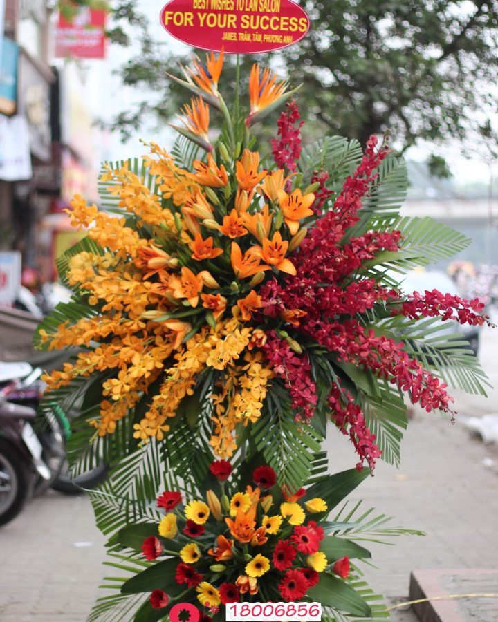 HKT Tầm cao mới
