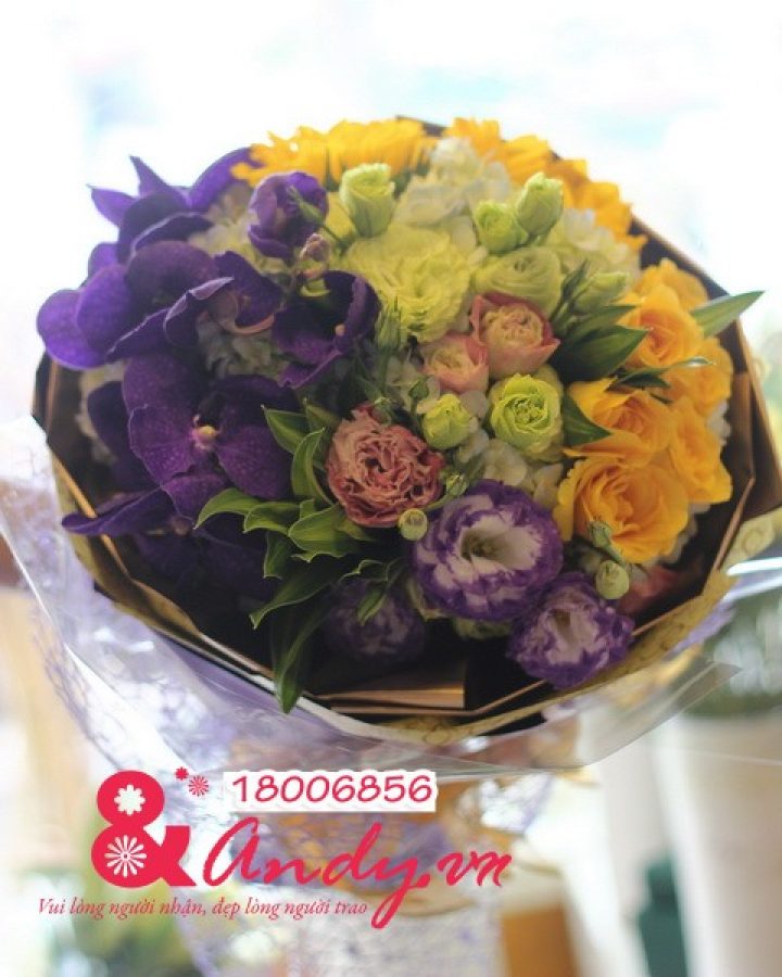 Sắc màu