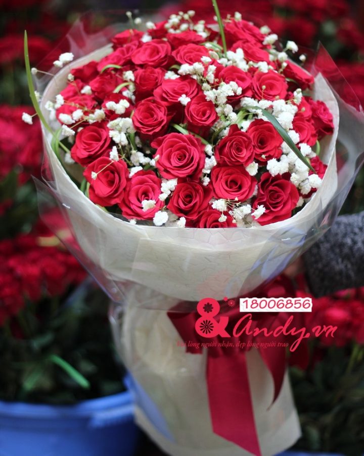 Yêu thương trọn vẹn