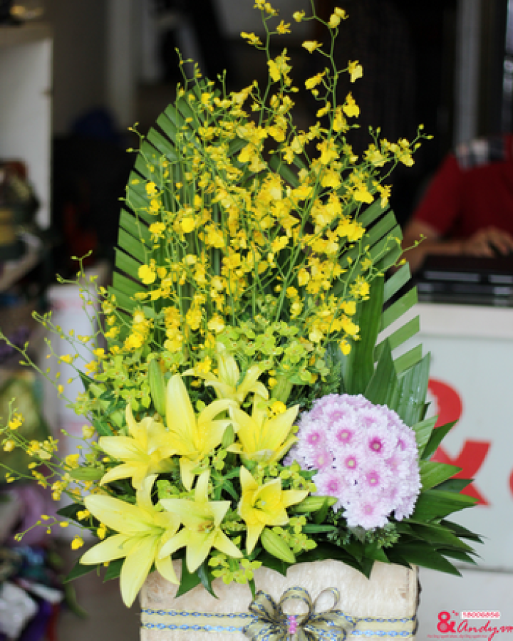 Sắc lan vũ nữ
