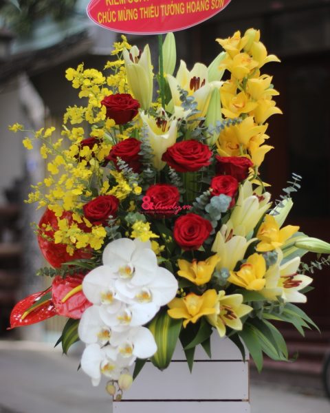 Hoa như sương lại như gió