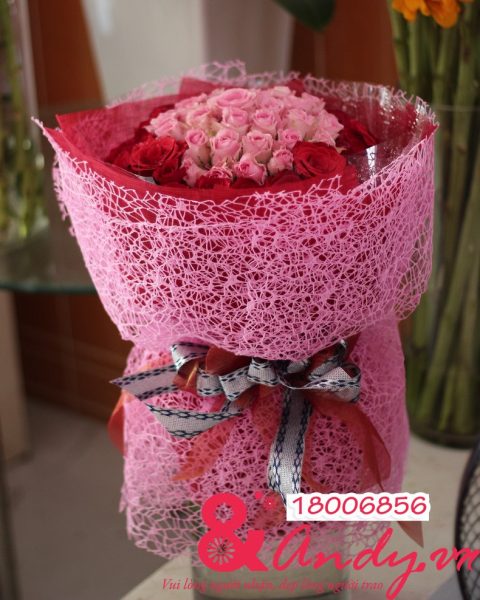 Tuổi hồng