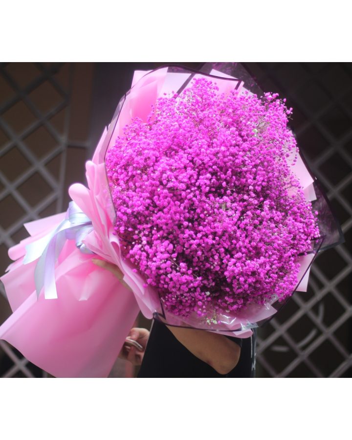 Hoa Baby hồng