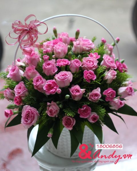 Tuổi hồng