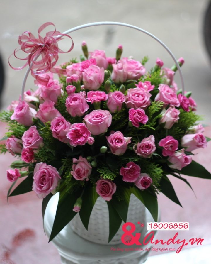 Tuổi hồng