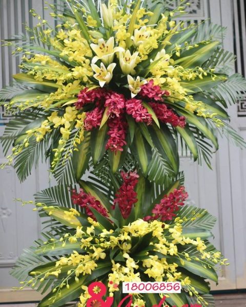 Hoa chúc mừng 