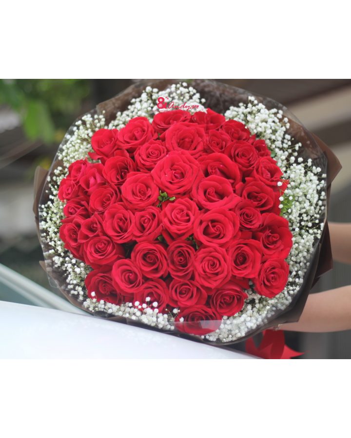 Bó hồng tình yêu.