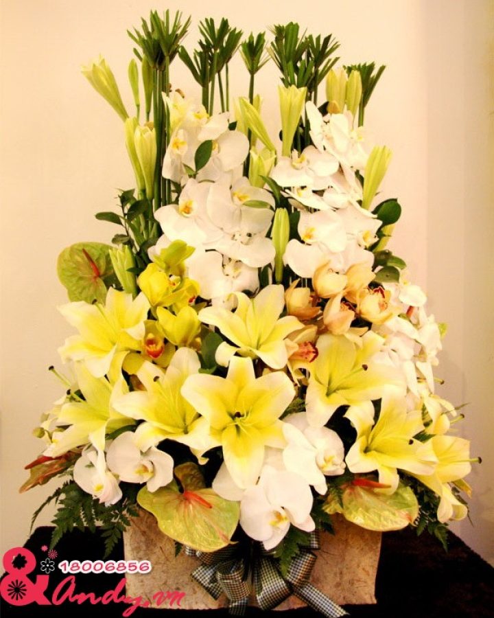 Hộp hoa sang trọng