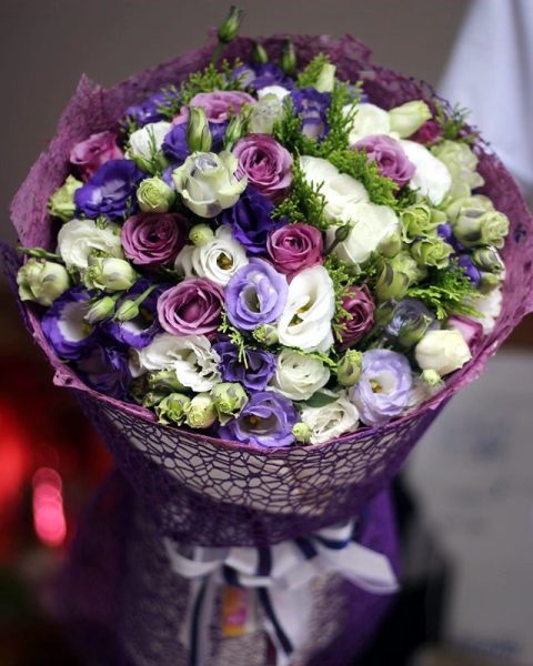 Tím Yêu Thương