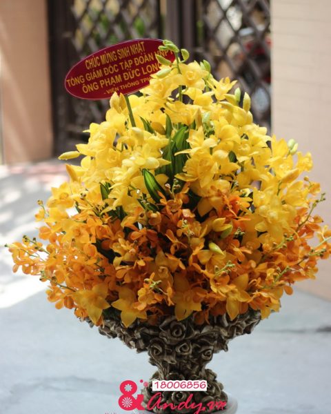 Hoa Chúc Mừng