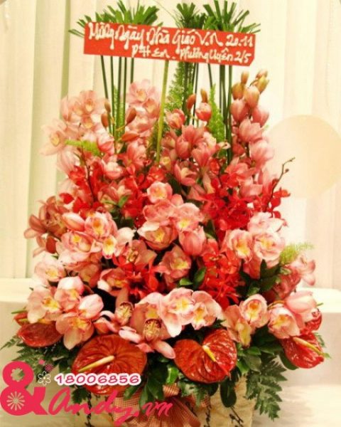 Hoa chúc mừng 