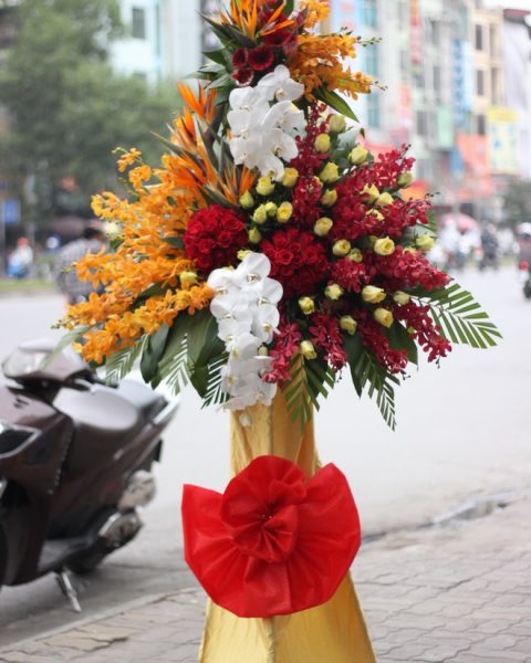 HKT Thành Công Rực Rỡ