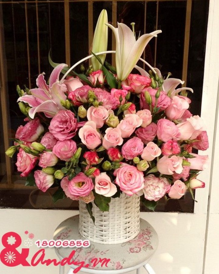 Hoa sinh nhật : Sắc hồng may mắn