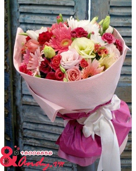 Tuổi mới vui tươi
