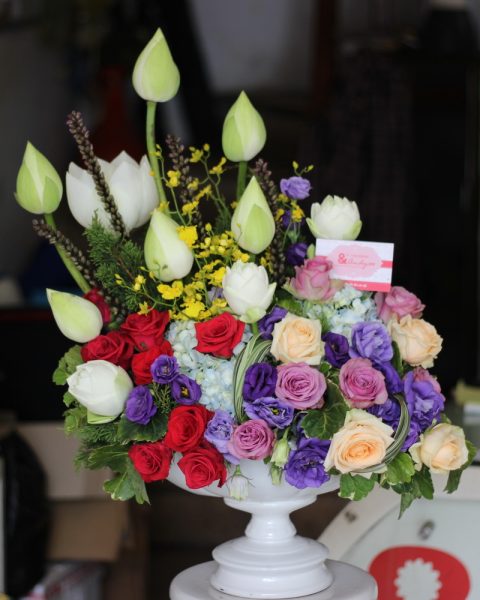 Hoa chúc mừng 
