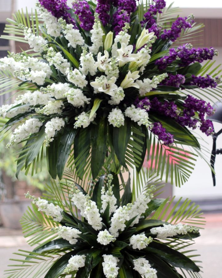 Hoa tang nuối tiếc
