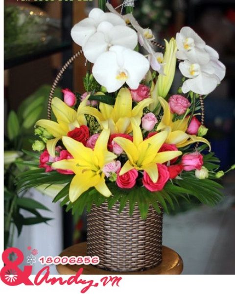 Miền yêu thương