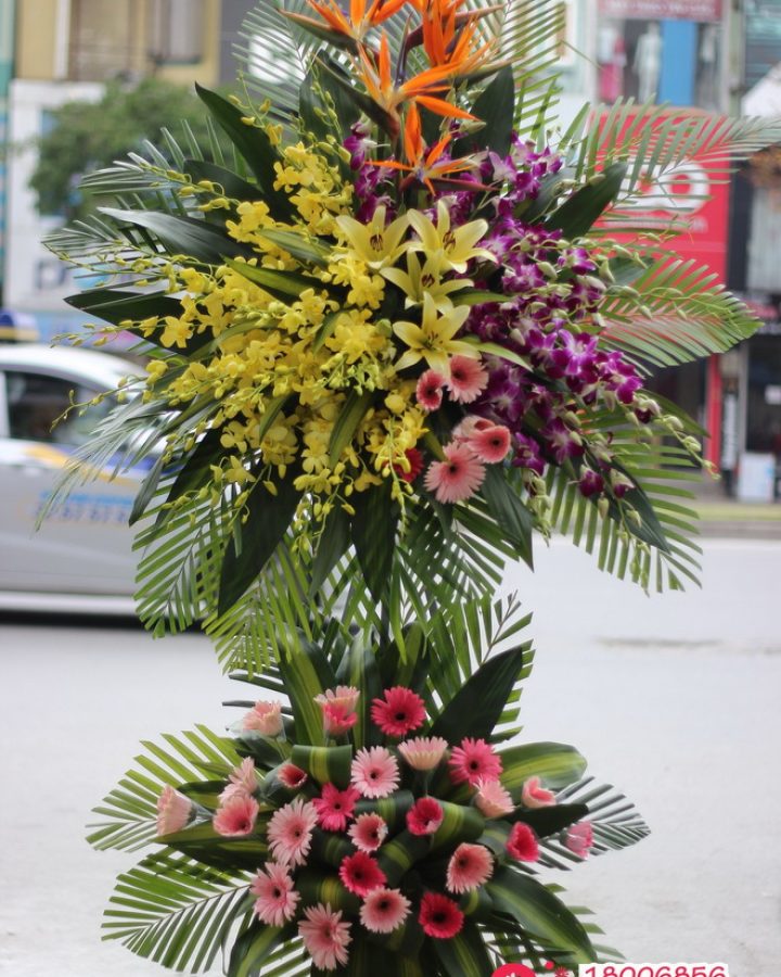 Mừng Khai Trương