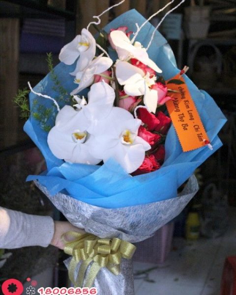 Tình mẹ 