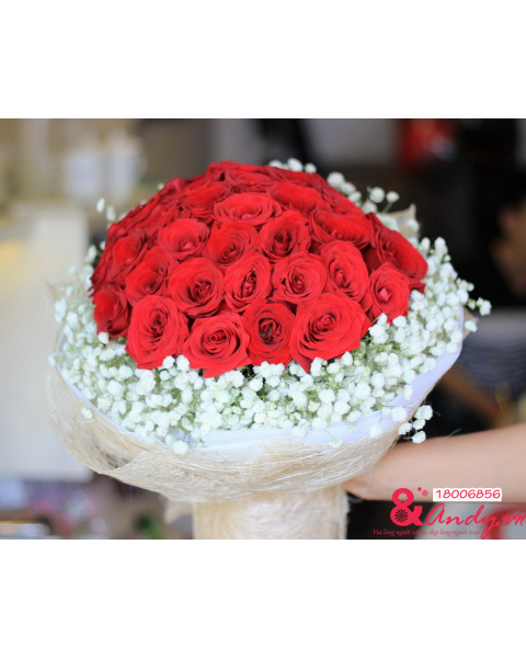 Tình yêu không lời