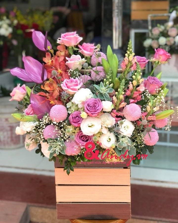 Giỏ Hồ Điệp