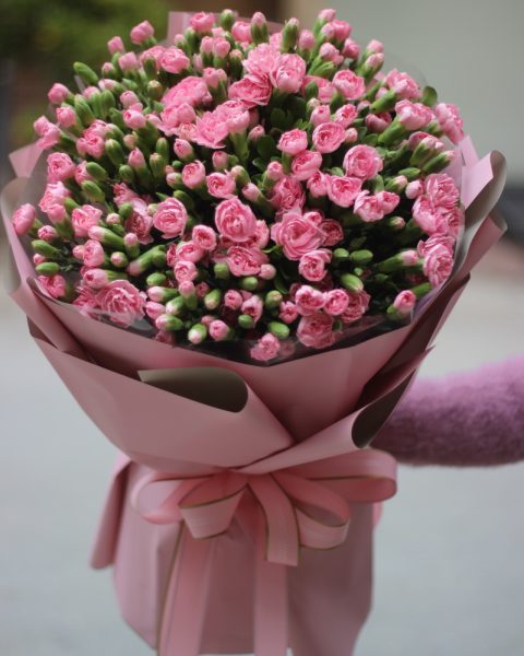 CẨM CHƯỚNG HỒNG